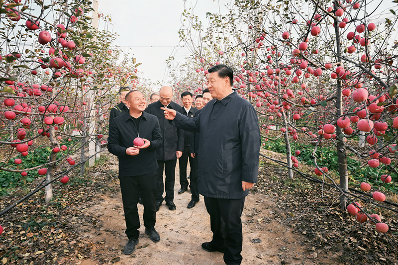 1678955874511323.jpg 農(nóng)業(yè)強(qiáng)國02.jpg