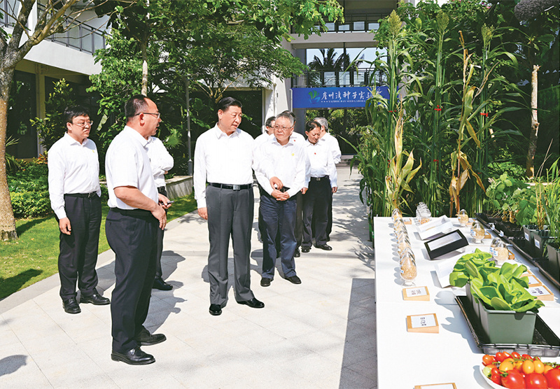 1678955984867979.jpg 農(nóng)業(yè)強(qiáng)國05.jpg